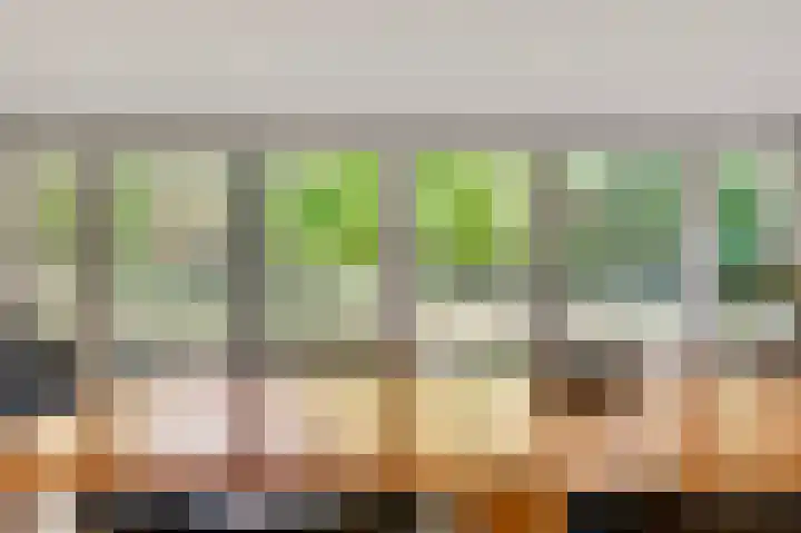 ten Brakeweg 30 Sterksel thumbnail 21
