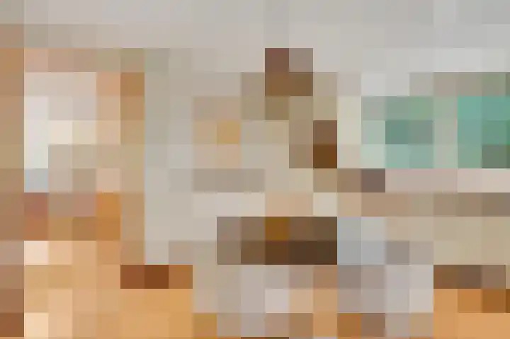ten Brakeweg 30 Sterksel thumbnail 24