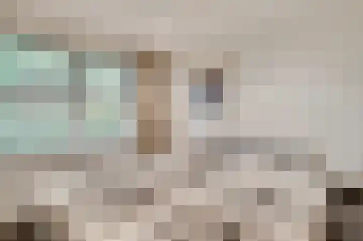 ten Brakeweg 30 Sterksel thumbnail 28