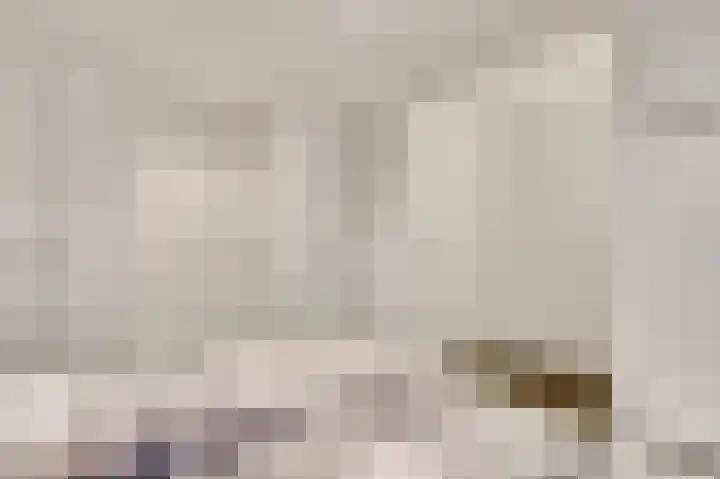 ten Brakeweg 30 Sterksel thumbnail 29