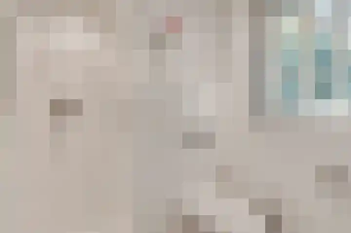 ten Brakeweg 30 Sterksel thumbnail 31