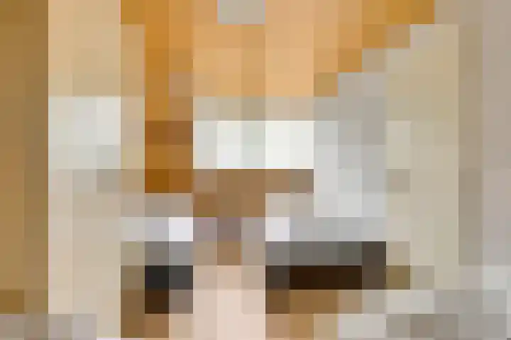 ten Brakeweg 30 Sterksel thumbnail 33