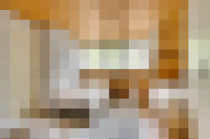 ten Brakeweg 30 Sterksel thumbnail 35