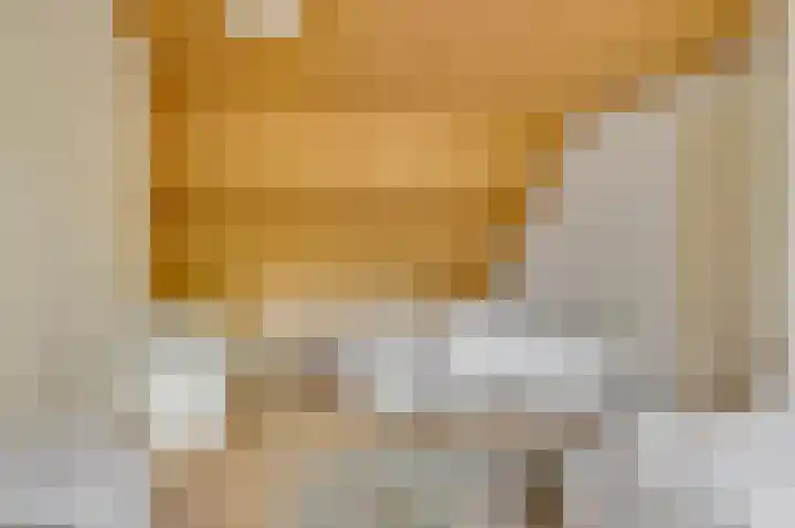 ten Brakeweg 30 Sterksel thumbnail 36