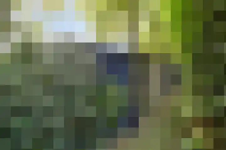 ten Brakeweg 30 Sterksel thumbnail 37