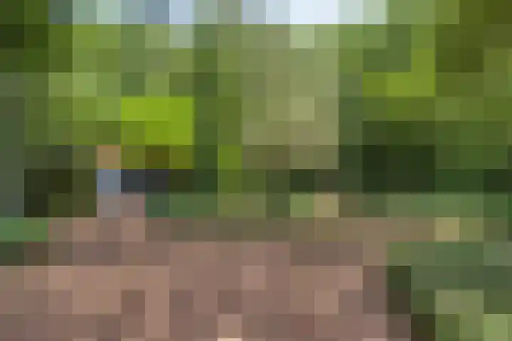 ten Brakeweg 30 Sterksel thumbnail 38