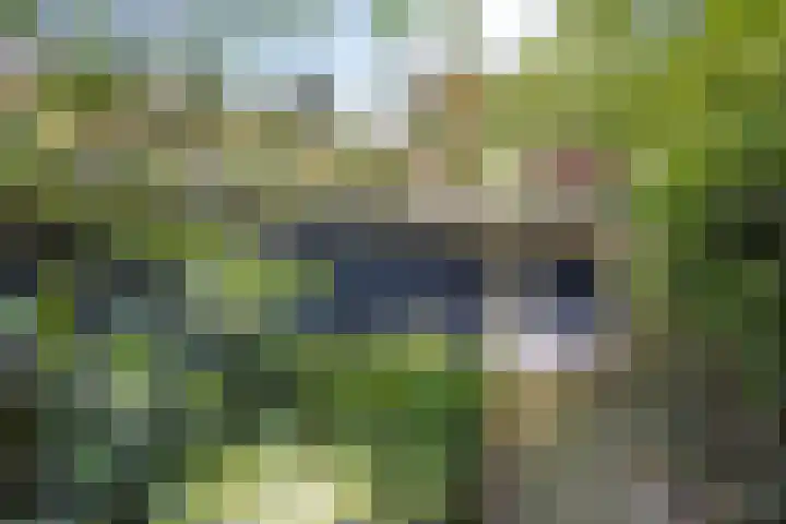 ten Brakeweg 30 Sterksel thumbnail 4