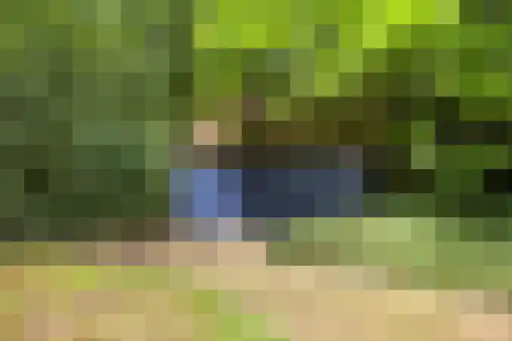 ten Brakeweg 30 Sterksel thumbnail 40