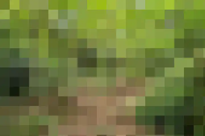 ten Brakeweg 30 Sterksel thumbnail 41