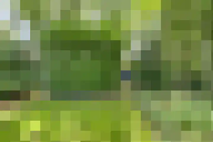 ten Brakeweg 30 Sterksel thumbnail 42