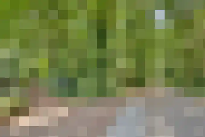 ten Brakeweg 30 Sterksel thumbnail 43