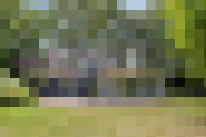 ten Brakeweg 30 Sterksel thumbnail 49