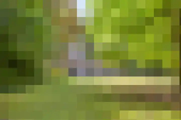 ten Brakeweg 30 Sterksel thumbnail 5