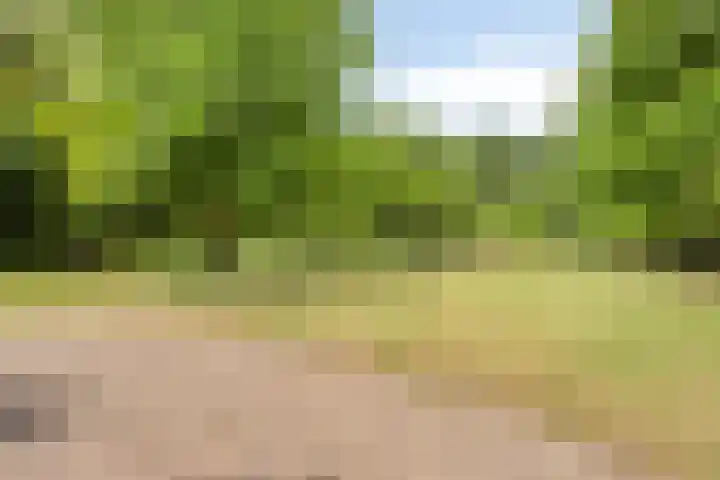 ten Brakeweg 30 Sterksel thumbnail 6