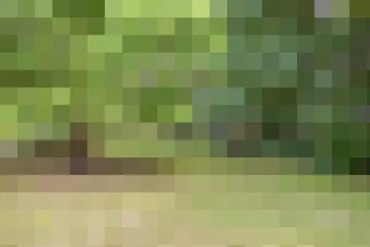 ten Brakeweg 30 Sterksel thumbnail 7
