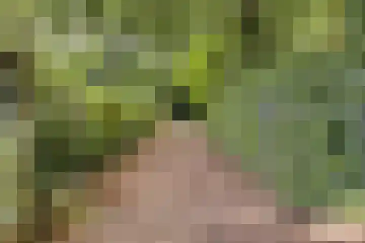 ten Brakeweg 30 Sterksel thumbnail 8