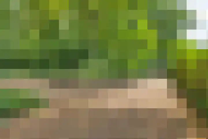 ten Brakeweg 30 Sterksel thumbnail 9