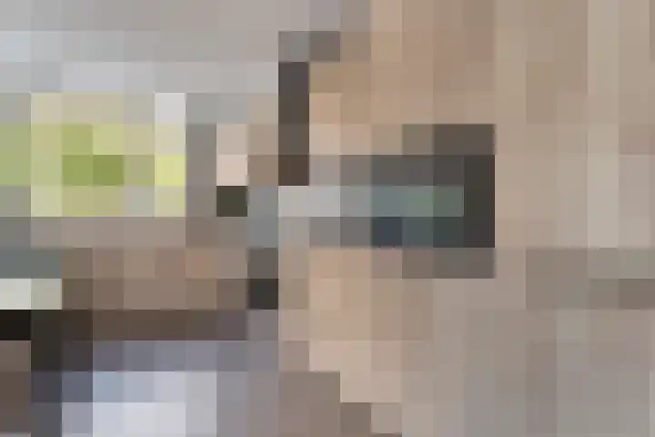Ten Busschekamp 15 Zwolle thumbnail 11