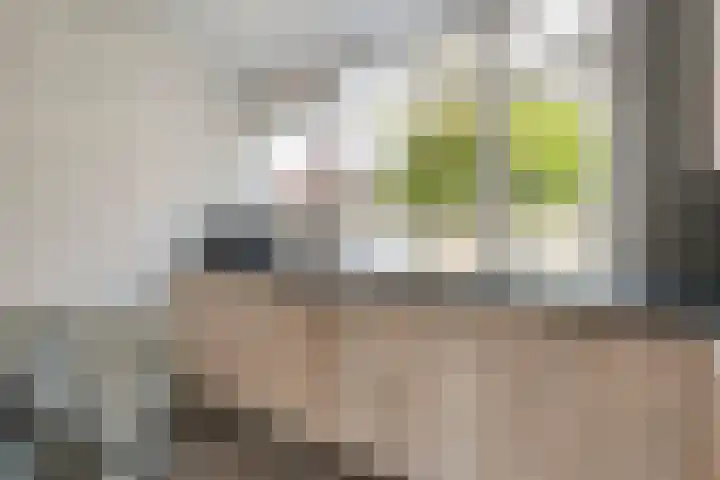 Ten Busschekamp 15 Zwolle thumbnail 12