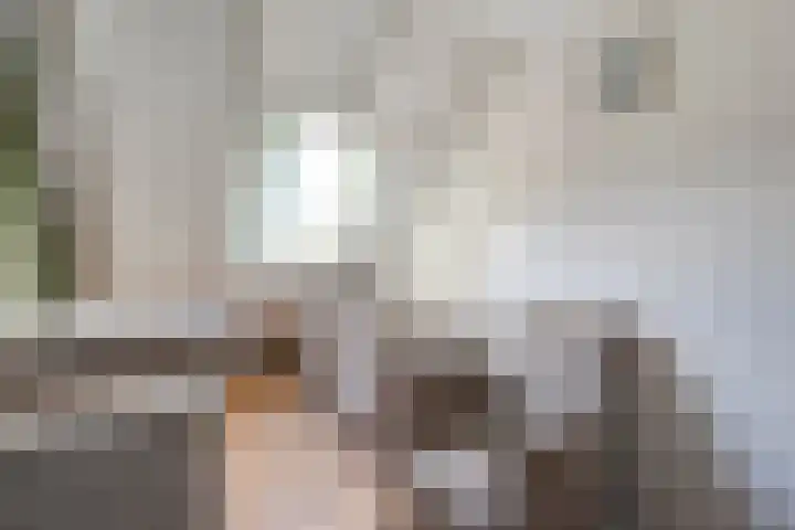 Ten Busschekamp 15 Zwolle thumbnail 21