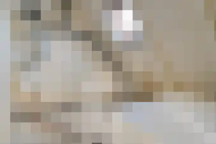 Ten Busschekamp 15 Zwolle thumbnail 23