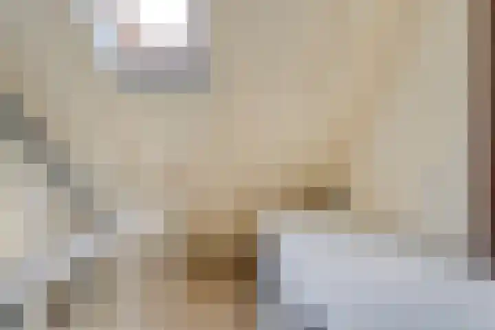 Ten Busschekamp 15 Zwolle thumbnail 24