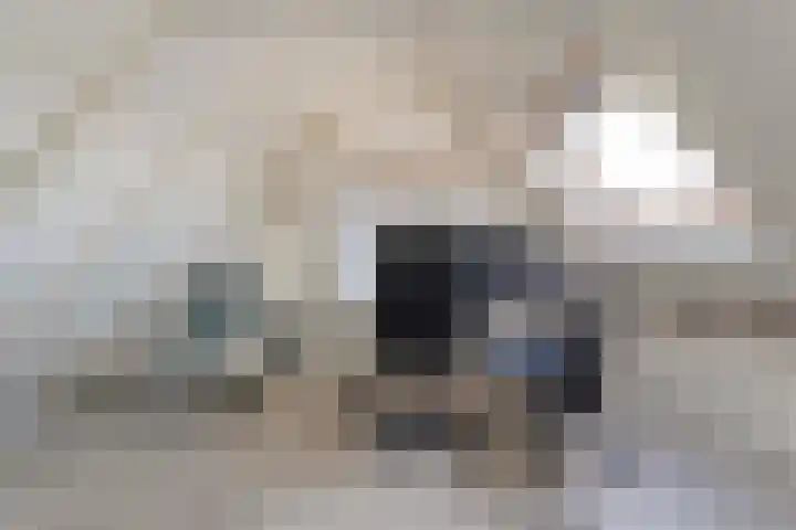 Ten Busschekamp 15 Zwolle thumbnail 25