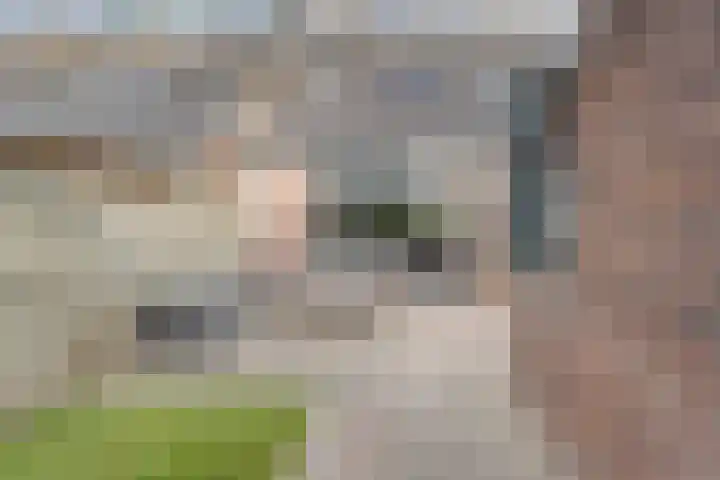 Ten Busschekamp 15 Zwolle thumbnail 28