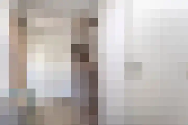 Ten Busschekamp 15 Zwolle thumbnail 5