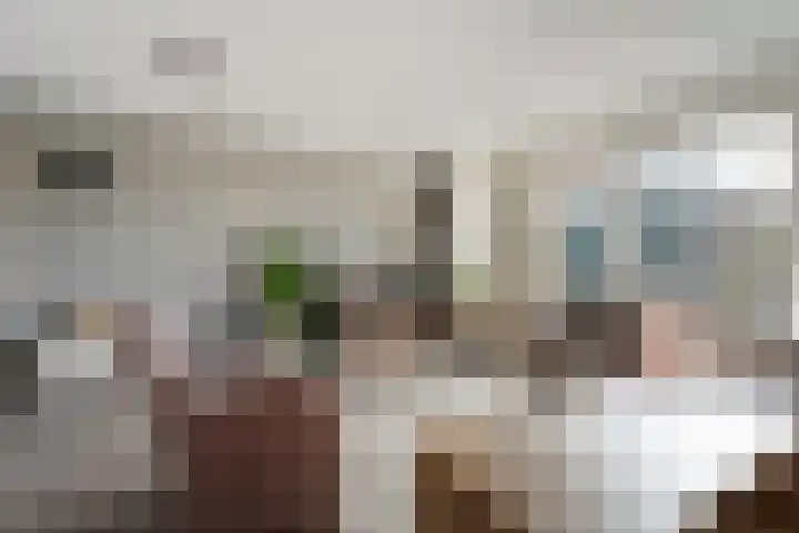 Ten Busschekamp 15 Zwolle thumbnail 7