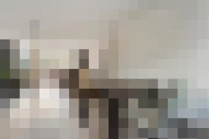 Ten Busschekamp 15 Zwolle thumbnail 8