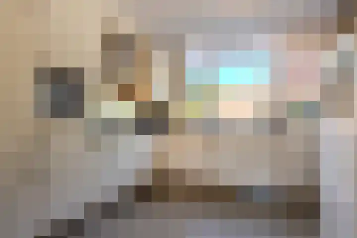 Ten Busschekamp 17 Zwolle thumbnail 11