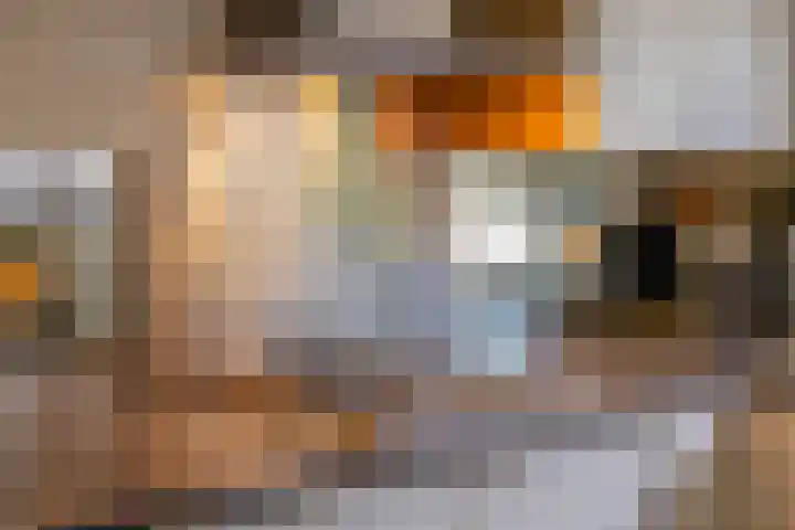 Ten Busschekamp 17 Zwolle thumbnail 13