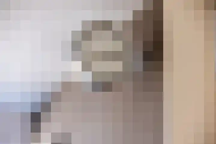 Ten Busschekamp 17 Zwolle thumbnail 16