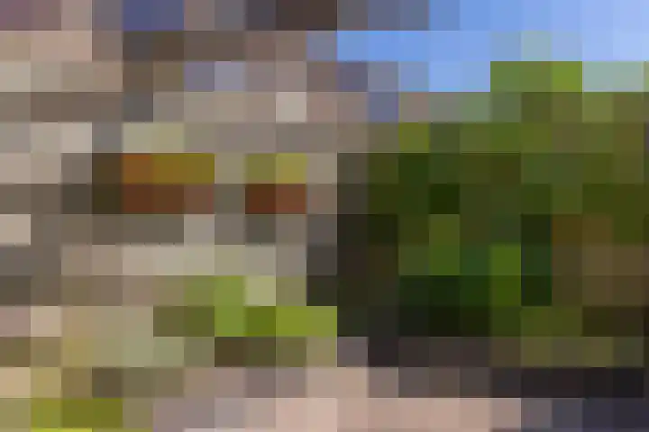 Ten Busschekamp 17 Zwolle thumbnail 31