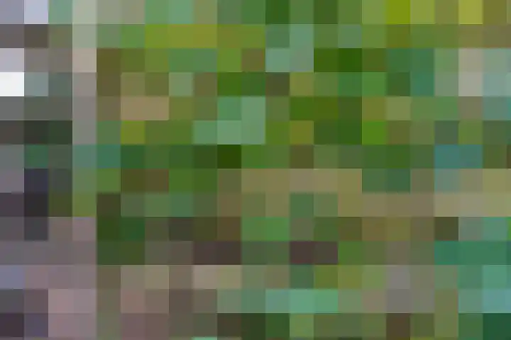 Ten Busschekamp 17 Zwolle thumbnail 32