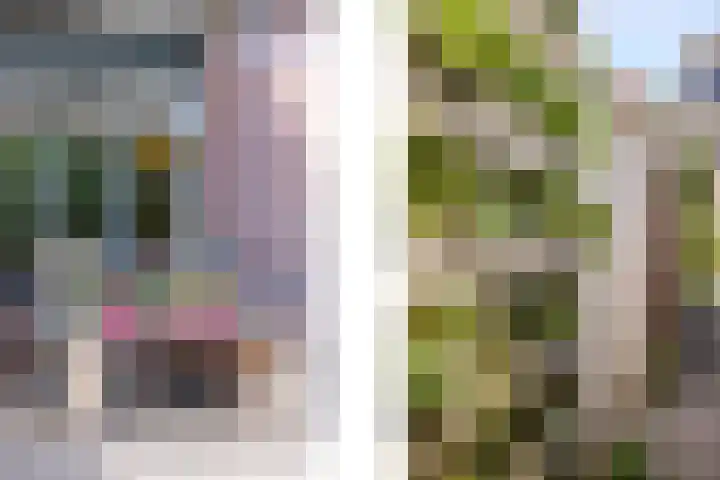 Ten Busschekamp 17 Zwolle thumbnail 34