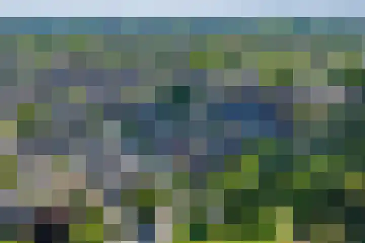 Ten Busschekamp 17 Zwolle thumbnail 37