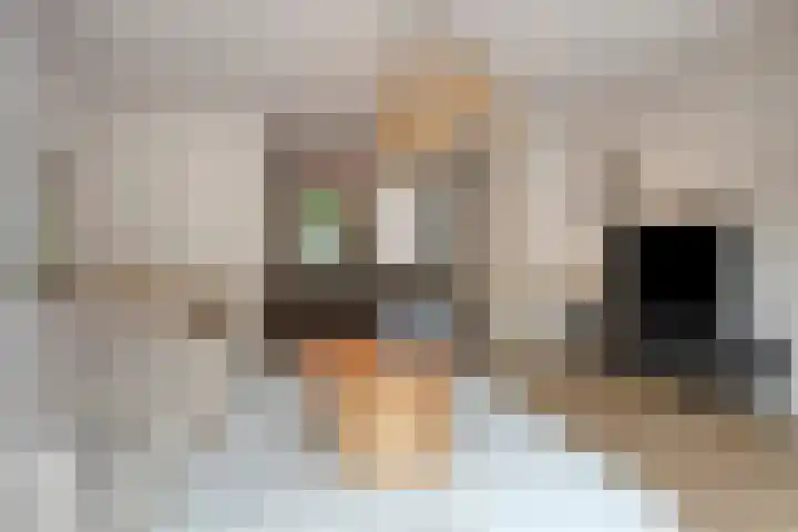 Ten Culen 21 Helmond thumbnail 12