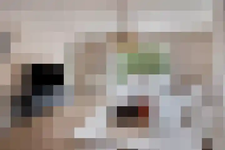 Ten Culen 21 Helmond thumbnail 15