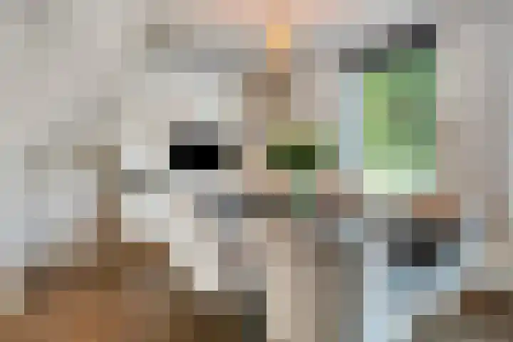 Ten Culen 21 Helmond thumbnail 17