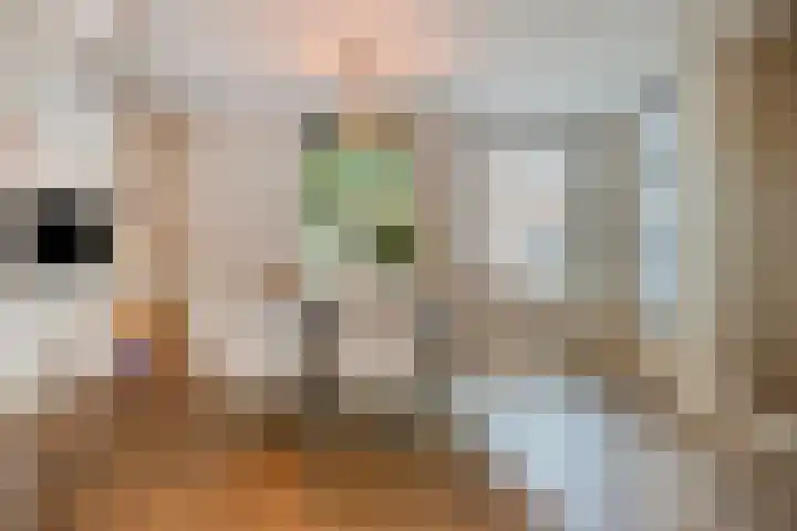 Ten Culen 21 Helmond thumbnail 18