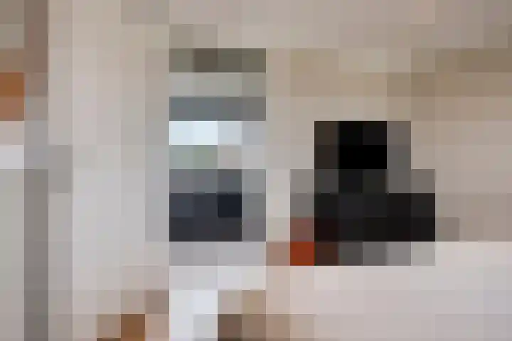 Ten Culen 21 Helmond thumbnail 32
