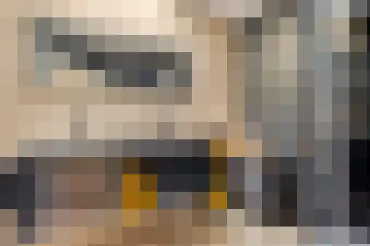 Ten Darperweg 1 a Diever thumbnail 19