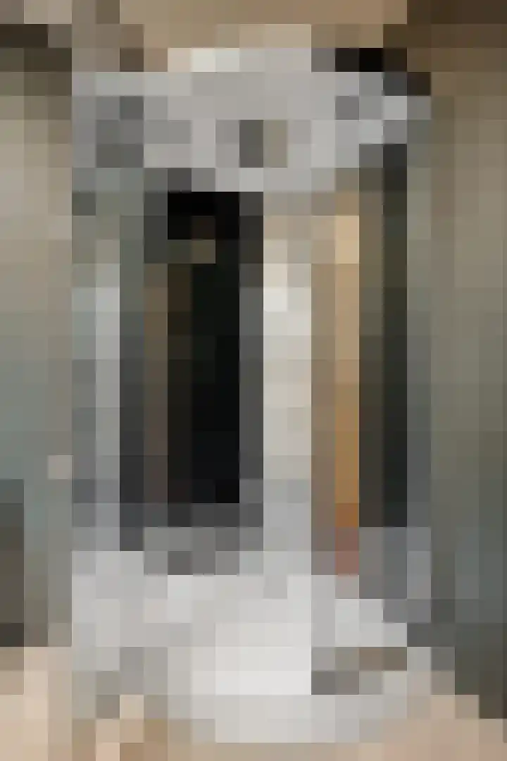 Ten Darperweg 1 a Diever thumbnail 20