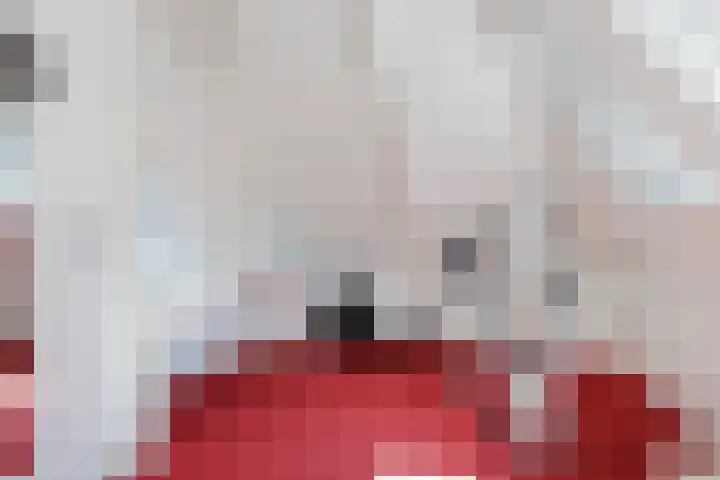 Ten Darperweg 1 a Diever thumbnail 27