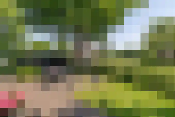 Ten Darperweg 1 a Diever thumbnail 29