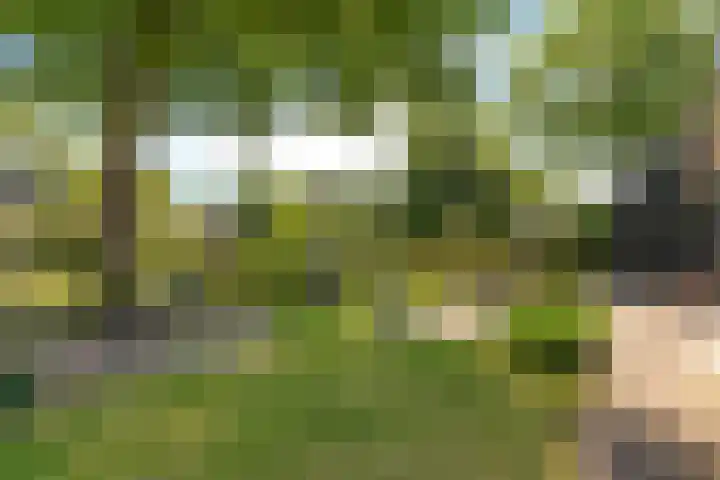 Ten Darperweg 1 a Diever thumbnail 30