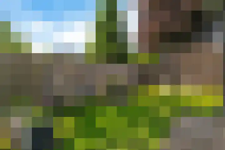 Ten Darperweg 1 a Diever thumbnail 39