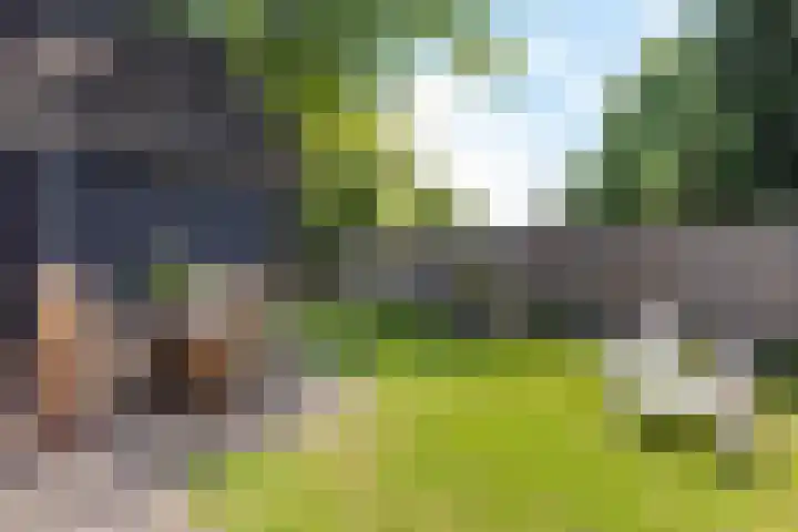 Ten Darperweg 1 a Diever thumbnail 40